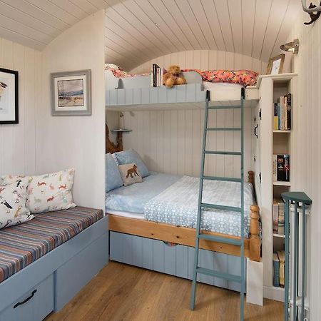 Cow Parsley Shepherd'S Hut Berwick Upon Tweed Eksteriør billede