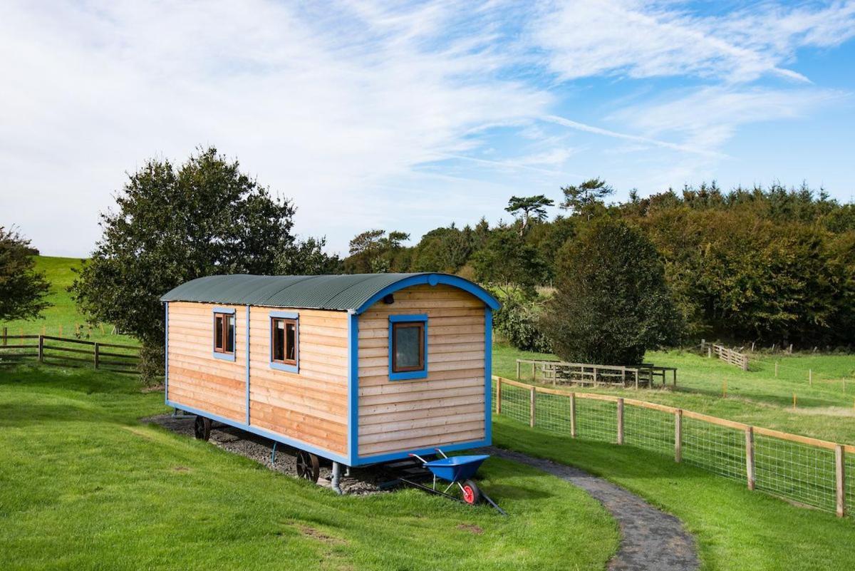 Cow Parsley Shepherd'S Hut Berwick Upon Tweed Eksteriør billede