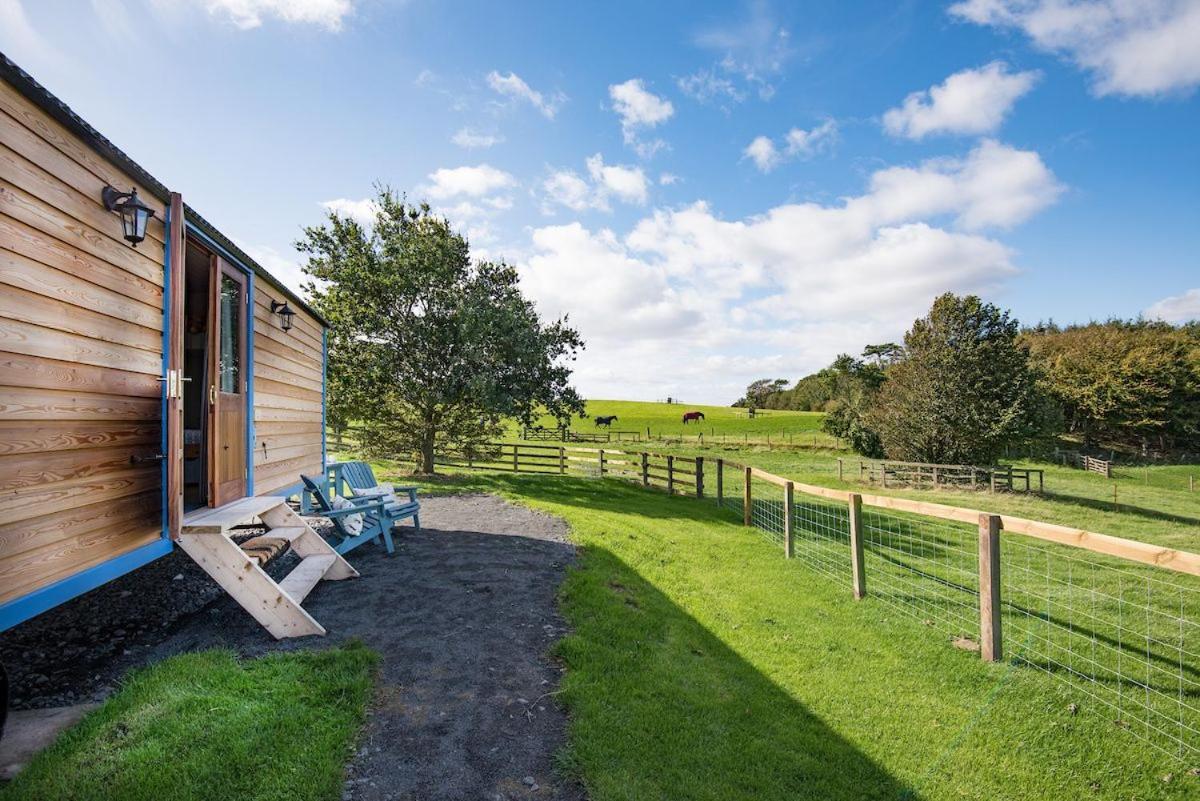 Cow Parsley Shepherd'S Hut Berwick Upon Tweed Eksteriør billede