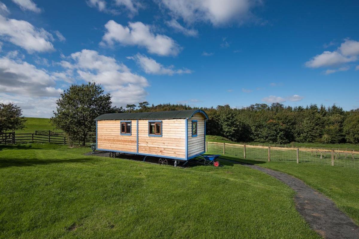 Cow Parsley Shepherd'S Hut Berwick Upon Tweed Eksteriør billede