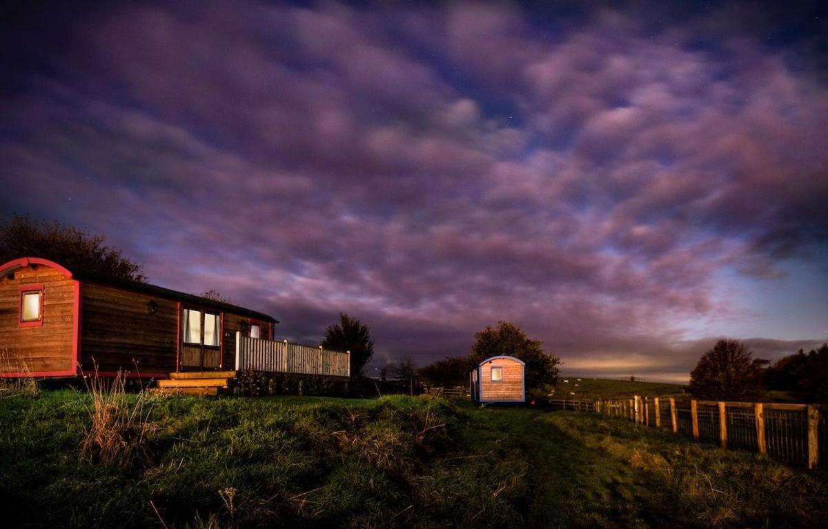 Cow Parsley Shepherd'S Hut Berwick Upon Tweed Eksteriør billede